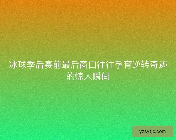 冰球季后赛前最后窗口往往孕育逆转奇迹的惊人瞬间