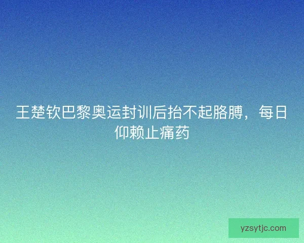王楚钦巴黎奥运封训后抬不起胳膊,每日仰赖止痛药 王楚钦巴黎奥运封训后抬不起胳膊,每日仰赖止痛药
