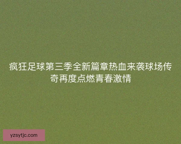 疯狂足球第三季全新篇章热血来袭球场传奇再度点燃青春激情 疯狂足球第三季全新篇章热血来袭球场传奇再度点燃青春激情