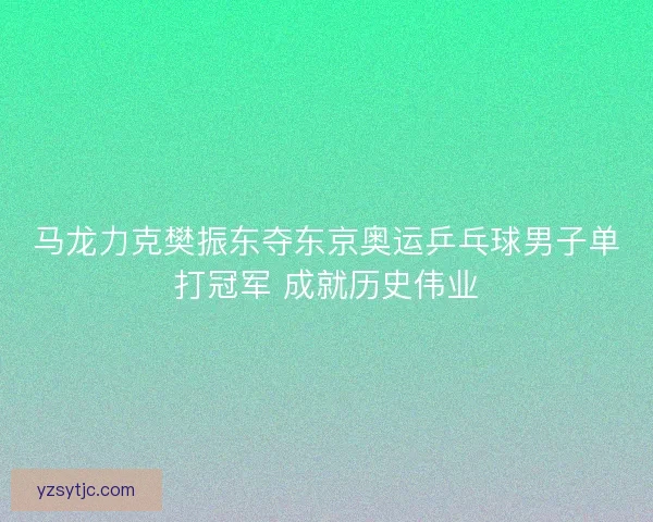 马龙力克樊振东夺东京奥运乒乓球男子单打冠军 成就历史伟业